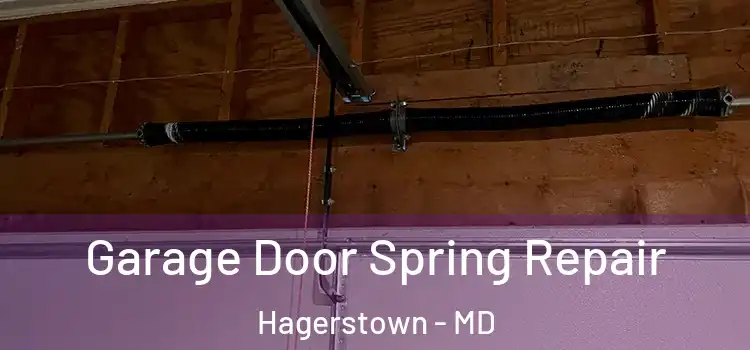  Garage Door Spring Repair Hagerstown - MD