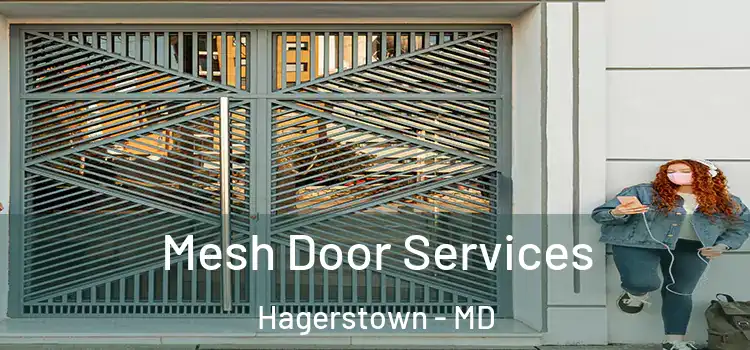 Mesh Door Services Hagerstown - MD